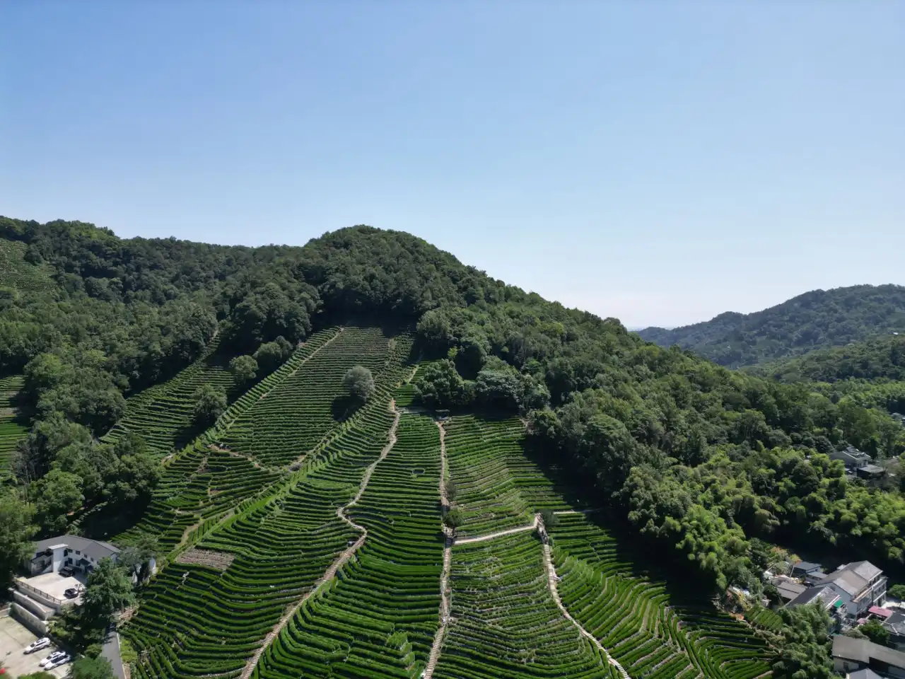 气泡膜与充气袋在精密仪器包装中的应用对比与选型指南