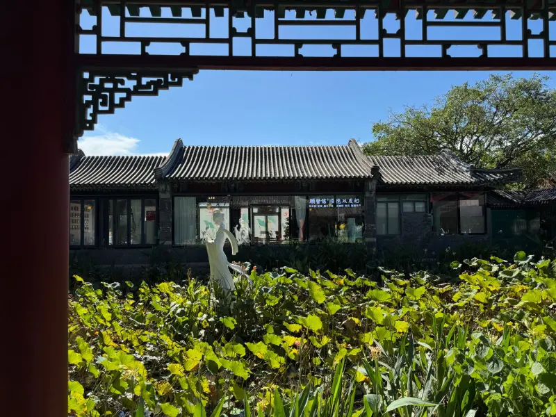 上海崧霏贸易气泡膜与快递袋缓冲防护方案对比分析
